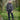Fort Carlton Bodywarmer Fort