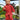 Fort Splashaway Childs Rainsuit Fort