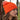 BB450 Orange/White Model