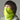 BB900B Lime Green Model