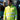 RS117 Fluorescent Yellow Model