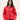 RS209F Red Model