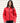 RS209F Red Model