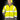 RS329 Fluorescent Yellow Model