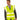 RS479 Fluorescent Yellow Model